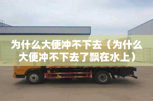 为什么大便冲不下去（为什么大便冲不下去了飘在水上）