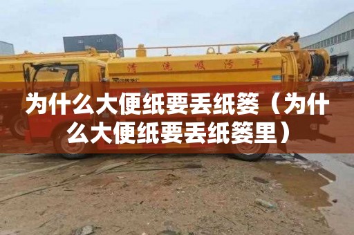 为什么大便纸要丢纸篓（为什么大便纸要丢纸篓里）