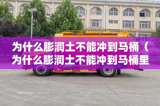 为什么膨润土不能冲到马桶（为什么膨润土不能冲到马桶里）