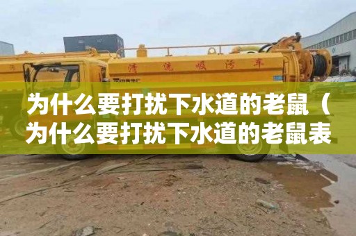 为什么要打扰下水道的老鼠（为什么要打扰下水道的老鼠表情包）