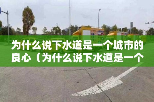 为什么说下水道是一个城市的良心（为什么说下水道是一个城市的良心呢）