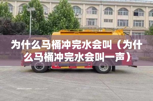 为什么马桶冲完水会叫（为什么马桶冲完水会叫一声）