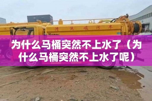 为什么马桶突然不上水了（为什么马桶突然不上水了呢）