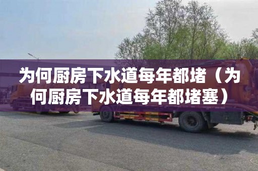 为何厨房下水道每年都堵（为何厨房下水道每年都堵塞）