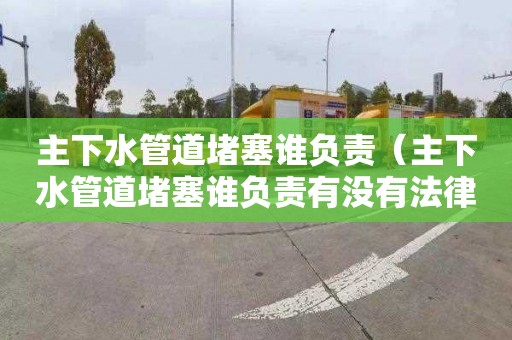 主下水管道堵塞谁负责（主下水管道堵塞谁负责有没有法律保护）