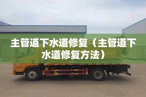 主管道下水道修复（主管道下水道修复方法）