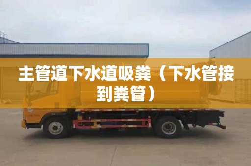 主管道下水道吸粪（下水管接到粪管）