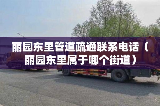 丽园东里管道疏通联系电话（丽园东里属于哪个街道）