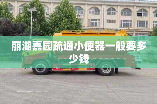 丽湖嘉园疏通小便器一般要多少钱