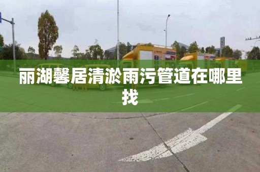 丽湖馨居清淤雨污管道在哪里找