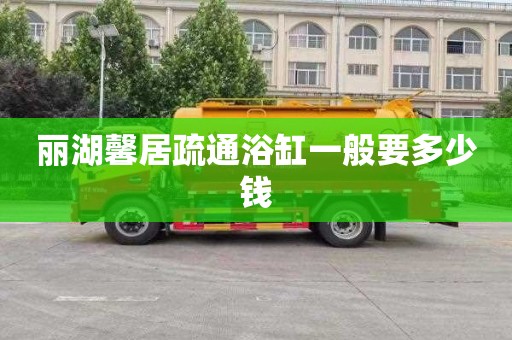 丽湖馨居疏通浴缸一般要多少钱