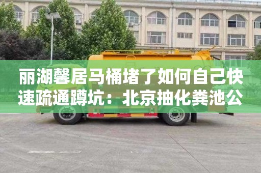 丽湖馨居马桶堵了如何自己快速疏通蹲坑：北京抽化粪池公司