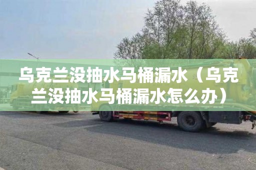 乌克兰没抽水马桶漏水（乌克兰没抽水马桶漏水怎么办）