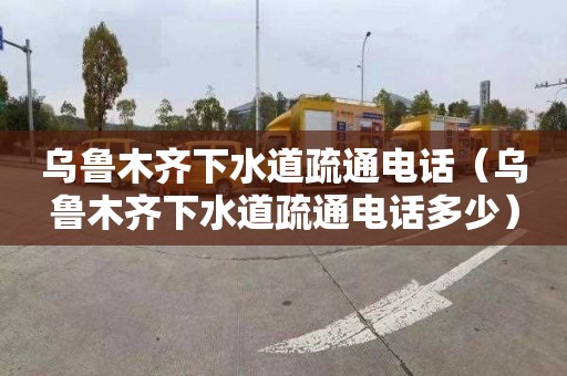 乌鲁木齐下水道疏通电话（乌鲁木齐下水道疏通电话多少）