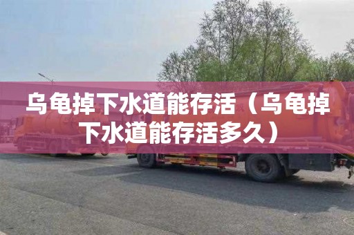 乌龟掉下水道能存活（乌龟掉下水道能存活多久）