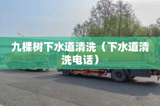 九棵树下水道清洗（下水道清洗电话）