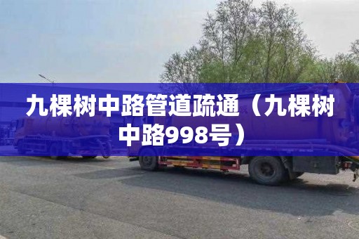 九棵树中路管道疏通（九棵树中路998号）
