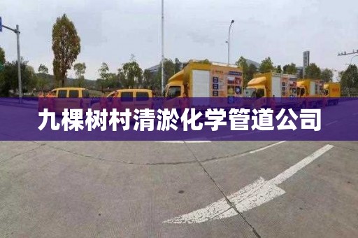 九棵树村清淤化学管道公司
