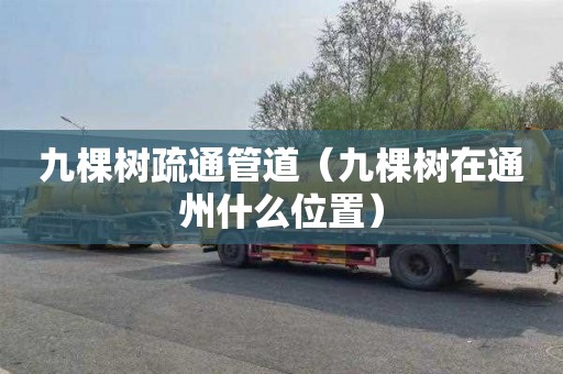九棵树疏通管道（九棵树在通州什么位置）