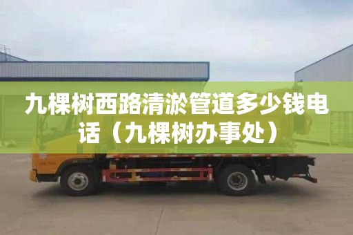 九棵树西路清淤管道多少钱电话（九棵树办事处）