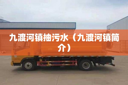 九渡河镇抽污水（九渡河镇简介）