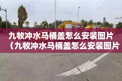 九牧冲水马桶盖怎么安装图片（九牧冲水马桶盖怎么安装图片大全）