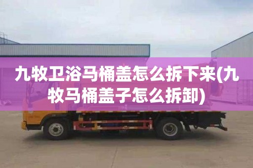 九牧卫浴马桶盖怎么拆下来(九牧马桶盖子怎么拆卸)