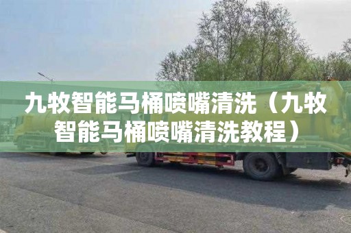 九牧智能马桶喷嘴清洗（九牧智能马桶喷嘴清洗教程）