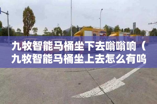 九牧智能马桶坐下去嗡嗡响（九牧智能马桶坐上去怎么有呜呜声音）