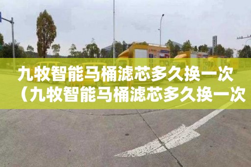 九牧智能马桶滤芯多久换一次（九牧智能马桶滤芯多久换一次好）