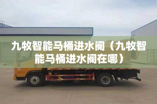 九牧智能马桶进水阀（九牧智能马桶进水阀在哪）