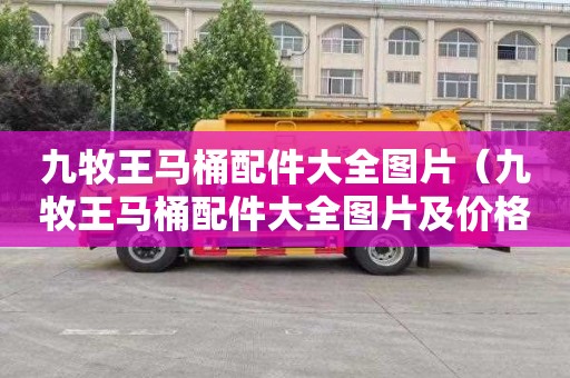 九牧王马桶配件大全图片（九牧王马桶配件大全图片及价格）