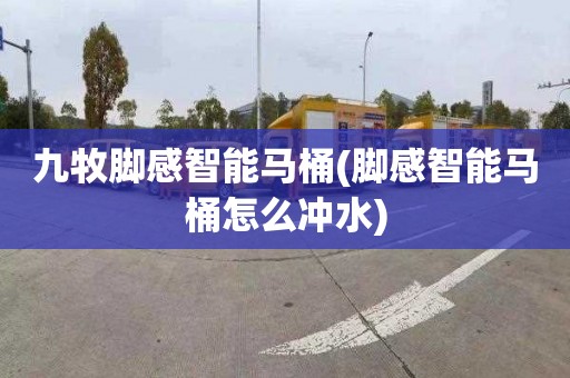 九牧脚感智能马桶(脚感智能马桶怎么冲水)