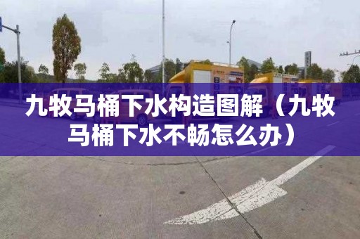 九牧马桶下水构造图解（九牧马桶下水不畅怎么办）