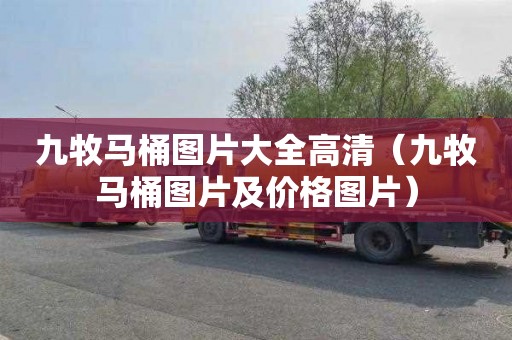 九牧马桶图片大全高清（九牧马桶图片及价格图片）