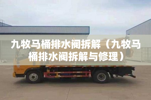 九牧马桶排水阀拆解（九牧马桶排水阀拆解与修理）