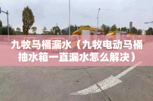 九牧马桶漏水（九牧电动马桶抽水箱一直漏水怎么解决）