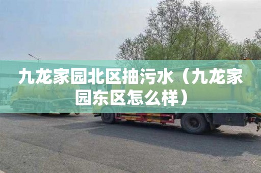 九龙家园北区抽污水（九龙家园东区怎么样）
