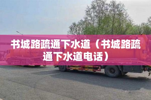 书城路疏通下水道（书城路疏通下水道电话）