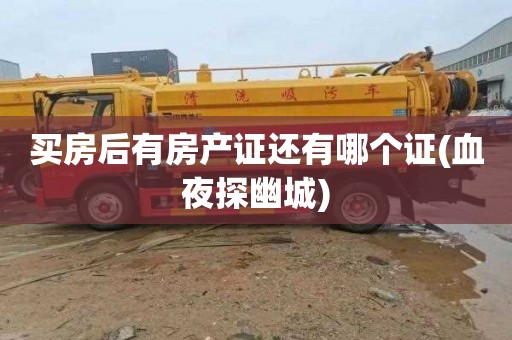 买房后有房产证还有哪个证(血夜探幽城)