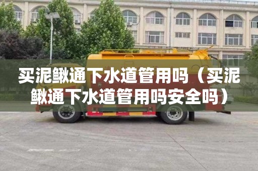买泥鳅通下水道管用吗（买泥鳅通下水道管用吗安全吗）