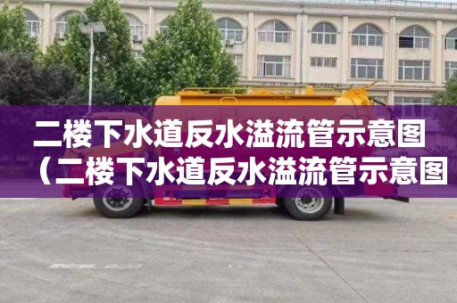 二楼下水道反水溢流管示意图（二楼下水道反水溢流管示意图怎么装）