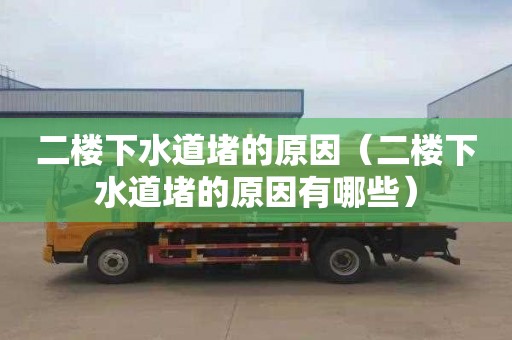 二楼下水道堵的原因（二楼下水道堵的原因有哪些）