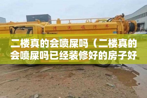 二楼真的会喷屎吗（二楼真的会喷屎吗已经装修好的房子好装止逆阀吗）