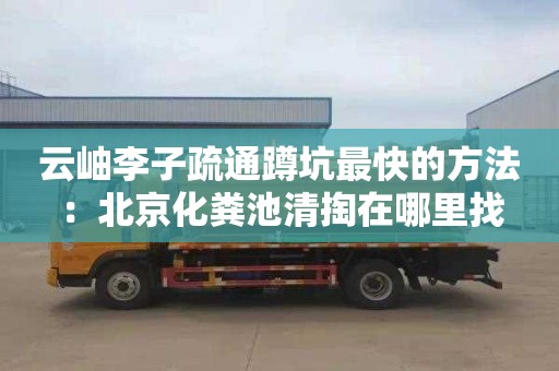云岫李子疏通蹲坑最快的方法：北京化粪池清掏在哪里找