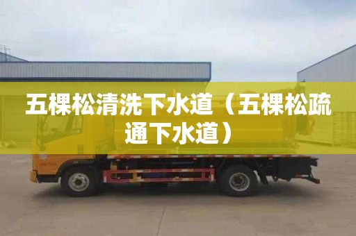 五棵松清洗下水道（五棵松疏通下水道）