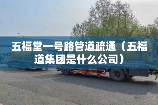 五福堂一号路管道疏通（五福道集团是什么公司）
