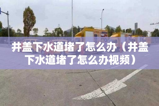 井盖下水道堵了怎么办（井盖下水道堵了怎么办视频）