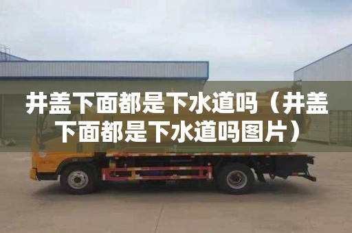 井盖下面都是下水道吗（井盖下面都是下水道吗图片）