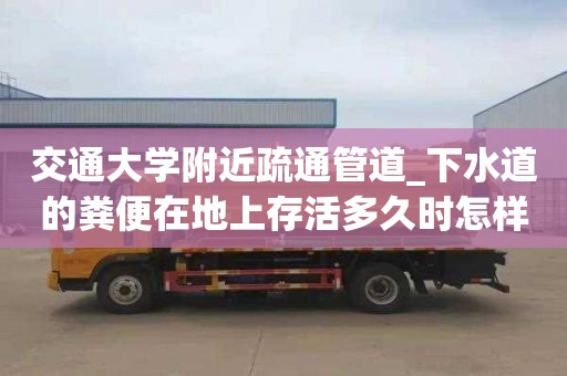 交通大学附近疏通管道_下水道的粪便在地上存活多久时怎样确保安全